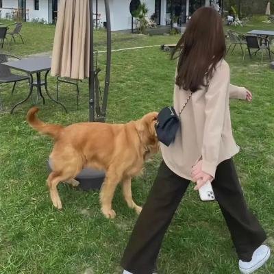 黑社会女王